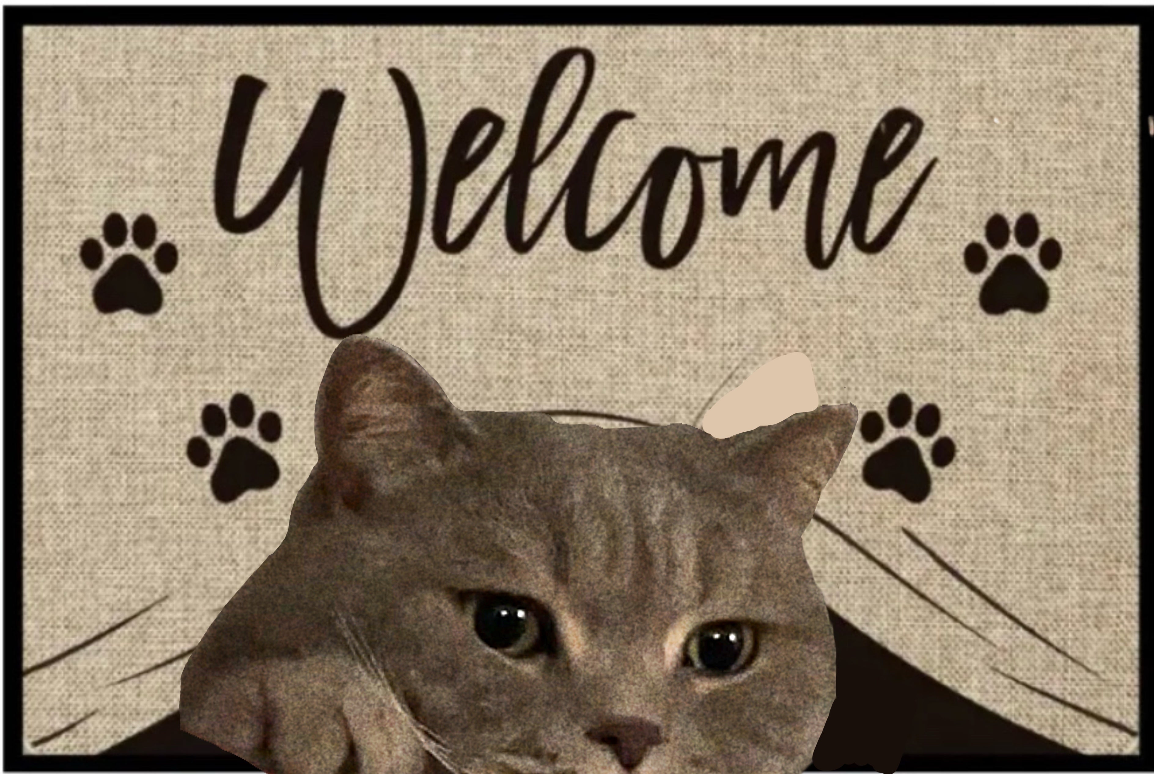 Cartoon Crystal Velvet Floor Mat Home