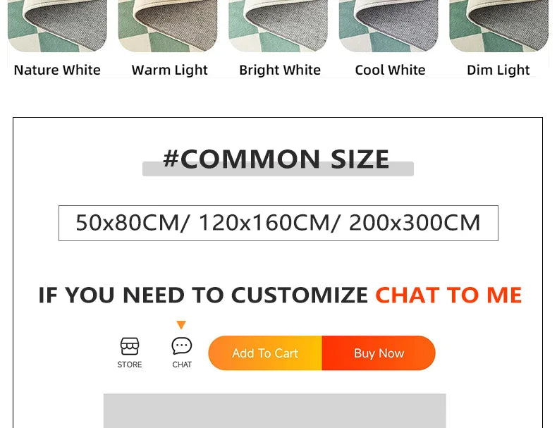 Non-slip US Dollar Bedroom Carpet Wear-resistant Mat